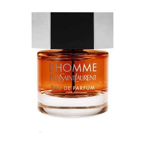 ysl l homme 100ml|Altro.